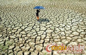 印度44℃高温创纪录 已热死80人(图)