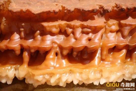 ��������һ��