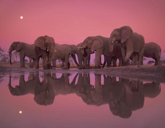 ĺ����Ĵ���