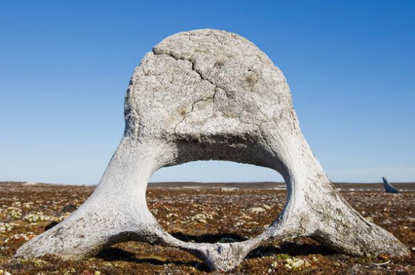 һ�龨��׵��