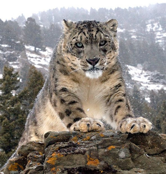 ���ÿֻ<a href=http://www.xinjiewang.com/zhouyiyanjiu/2/6/ target=_blank class=infotextkey><a href=http://www.xinjiewang.com/xiaohua/13/ target=_blank class=infotextkey>����</a></a>������