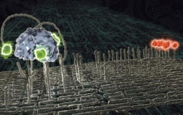 <a href=http://www.xinjiewang.com/why/02/ target=_blank class=infotextkey>�Ƽ�</a>ʱ��_�����Ƴ����׻����� ����������Ѫ������(ͼ)