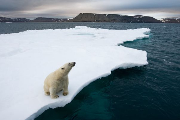 �����������ڻ���ɽ��