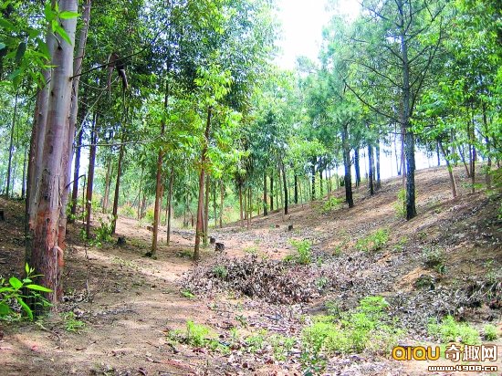 һҹ�� ��&ldquo;������&rdquo;Ĩȥһ��С��ׯ��(��ͼ)