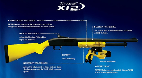 �ӵ���סĿ������Ƥ���������������20��ĵ��