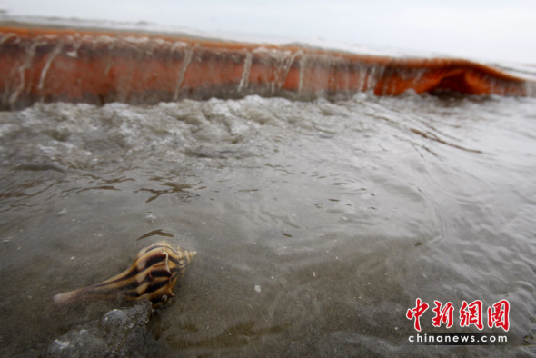 ������û�꾮ԭ��й¶����ʧ��(��ͼ)