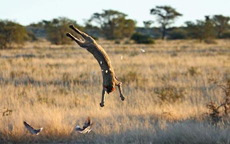 Ϊץ����������һ�٣���ֻ���ֽý��ķ���Ұè�����˾��ʵ�ת��ͺ�շ���������������һ���ǳɣ���������