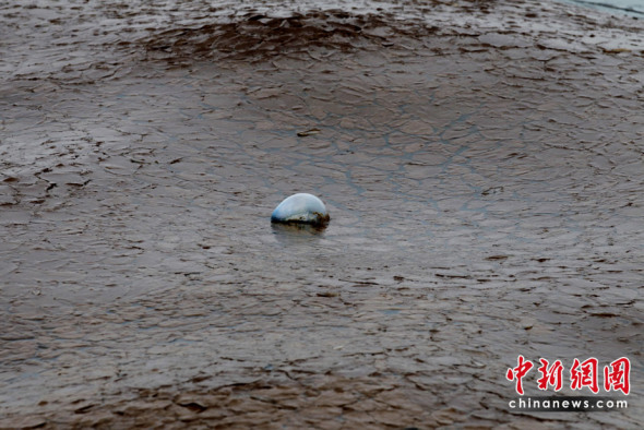 ������û�꾮ԭ��й¶����ʧ��(��ͼ)