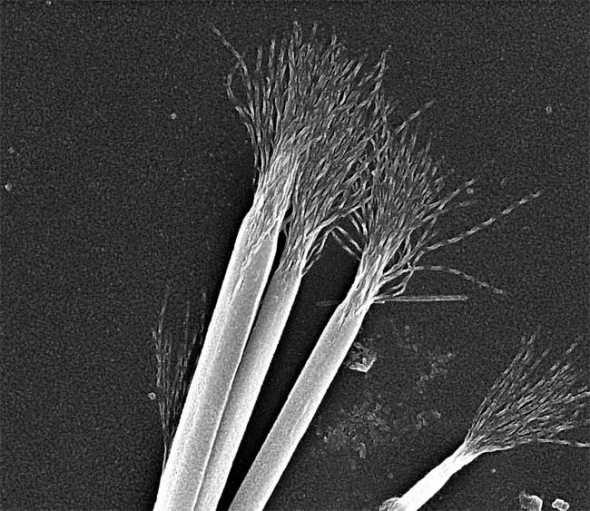 �ڱ�����������72Сʱ֮���������Ӵ�����Ť�������ֳ�����״