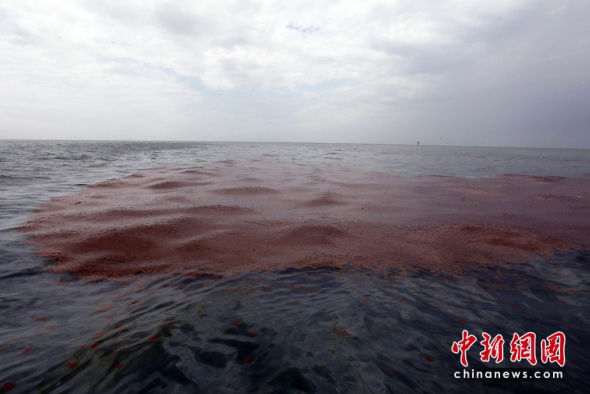 ������û�꾮ԭ��й¶����ʧ��(��ͼ)