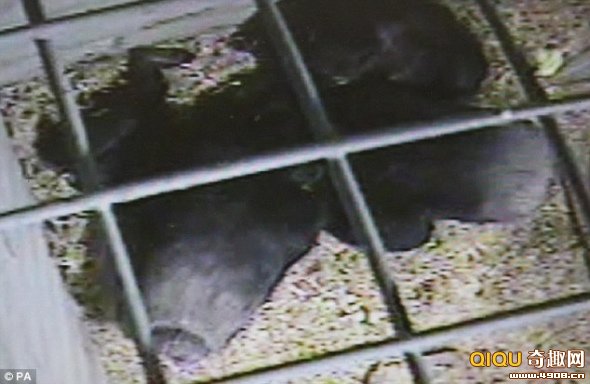 &ldquo;����&rdquo;��&ldquo;����&rdquo;Χ�������ߡ�