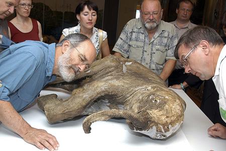 ����&ldquo;����&rdquo;�������ѧ�ҵļ���<a href=http://www.xinjiewang.com/aiqingxinxi/2/3/ target=_blank class=infotextkey><a href=http://www.xinjiewang.com/aiqingxinxi/2/3/ target=_blank class=infotextkey>��Ȥ</a></a>