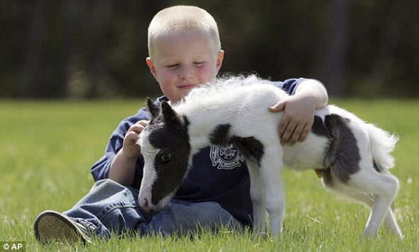 ������΢��������һ��С�ο����ڰ�����ƥ������С���ԡ�&ldquo;����˹̹&rdquo;��Ϊ����������С�����ԡ�