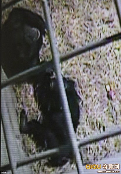 ������������������岢ƵƵȷ�����Ƿ񻹻��š�