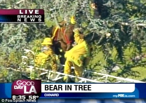 ������Ա��������Ӫ�Ⱥ��ܡ�